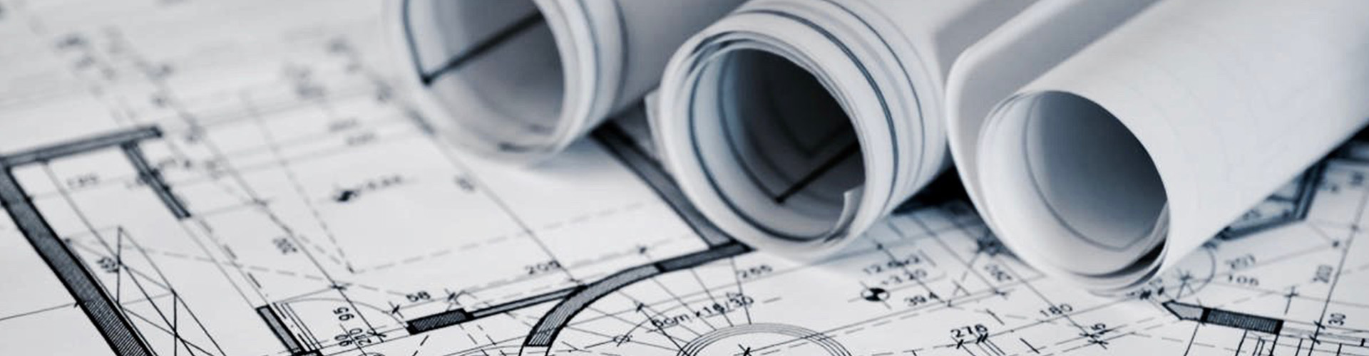 Federasyon Tüzügü